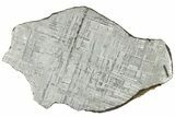 Etched Gibeon Iron Meteorite (g) Slice - Namibia #312840-1